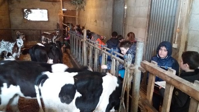 Visite à la ferme avec les 6èmes