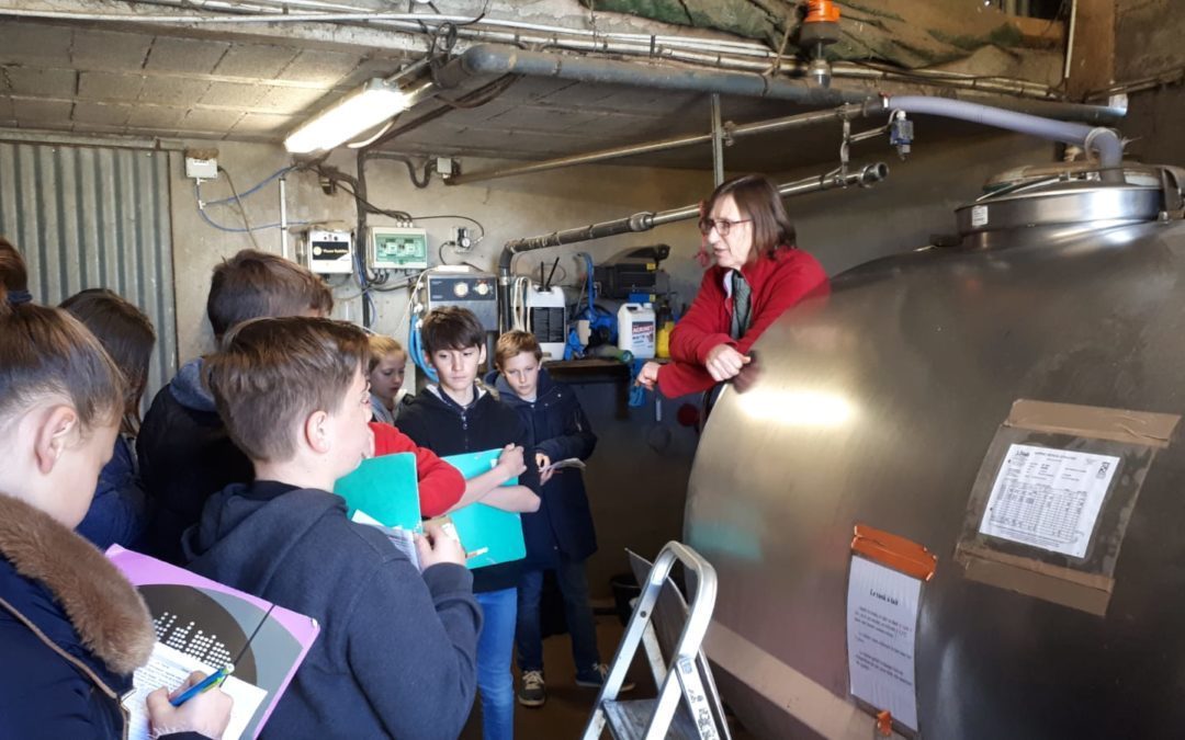 Sortie à la ferme pour les 6èmes