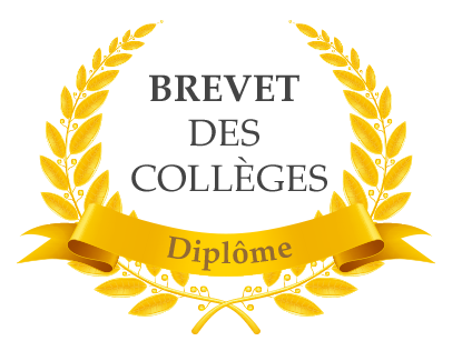 Remise du Diplôme du Brevet des Collèges