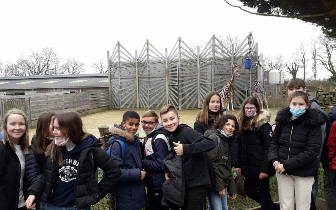 Classe de découverte à Branféré